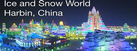 Harbin 2025 To𝚛rent aggregator